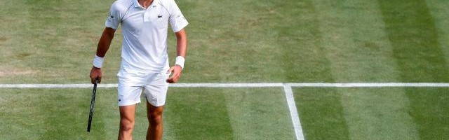 华体会体育官网-德约闯温网16强再创纪录 躲过盘点赛后自比“战狼”